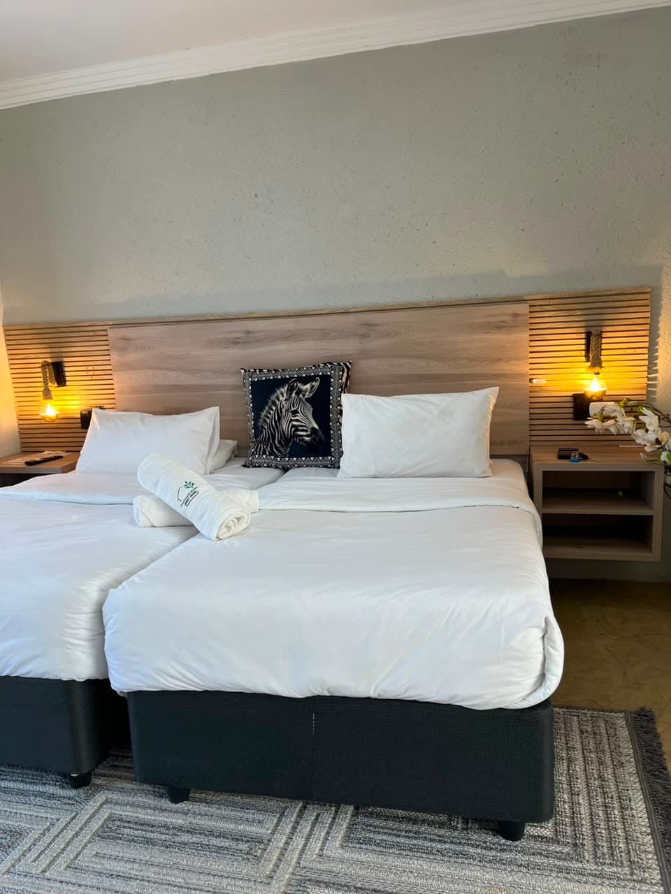 Deluxe Twin Room image 5